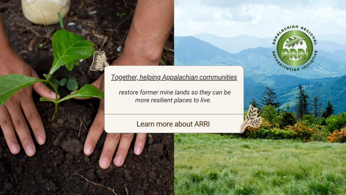 Hands planting a young tree in soil symbolizing Appalachian land restoration efforts by ARRI.