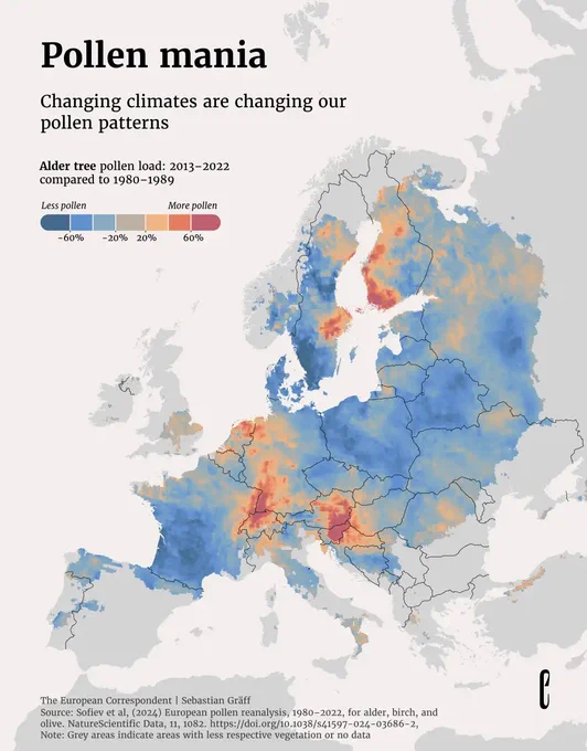 A map illustrating changes in the pollen patterns of alder trees in Europe. By comparing pollen loads during the years 1980–1989 and 2013–2022, it can be seen that while some countries experienced a decline of pollen, others experienced an increase. Published by the European Correspondent.