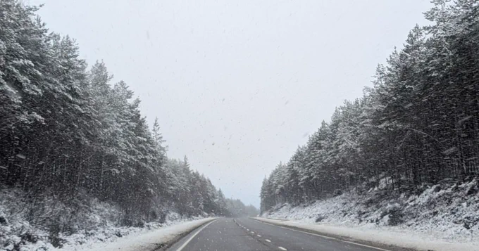 A snowy road and trees.