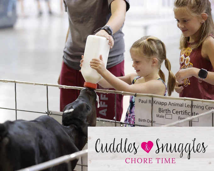 two small children feeding a baby cow with a large milk bottle duing cuddles & Snuggles at the Fair. 