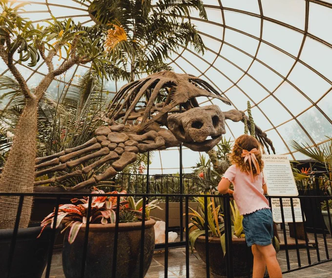 A kid stands in front of a large prehistoric turtle skeleton displayed in a greenhouse with tropical plants.
