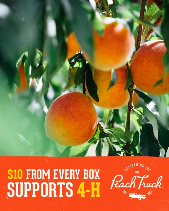 Delivery joy the Peach Truck, est. 2012 logo. Info in post. Peaches growing on a tree.