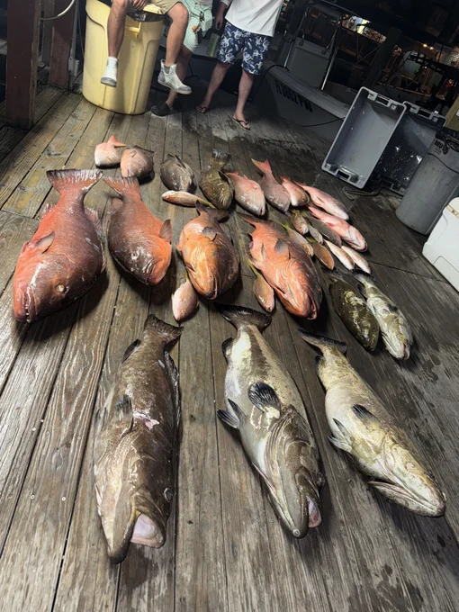 Mutton snapper, tuna, and amberjack displayed on a fishing boat in Key West
