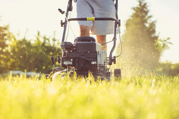 Close-up of a person mowing the lawn with a gas lawn mower on a sunny summer day.