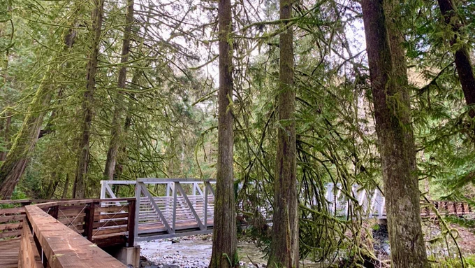Completed bridge and boardwalk integrated within the forested setting along DeMamiel Creek in Sooke, BC.