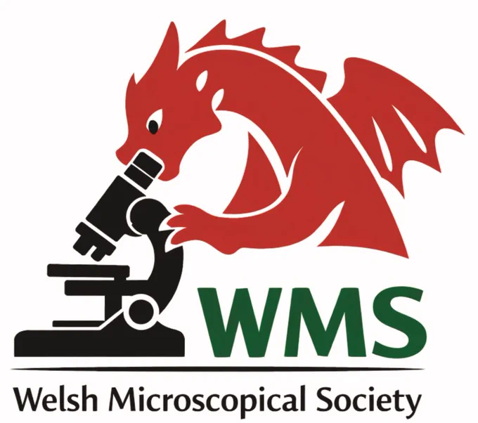 Red dragon leaning over a black microscope with green WMS letters below, representing the Welsh Microscopical Society.