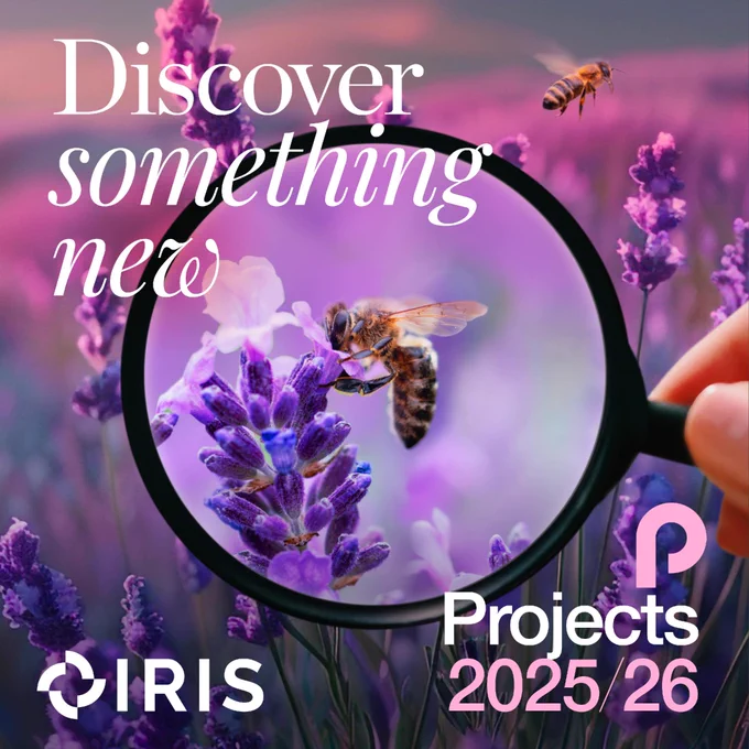 An image of bess in a field of lavender and flowers, with a circle magnified in the middle. Text reads: "Discover something new" and "Projects 2025-26"