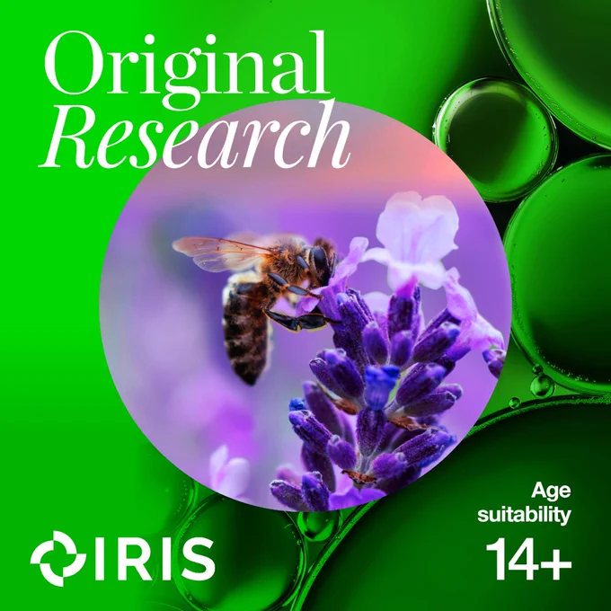 A circular image of a bee on purple flowers, with a vivid green background. Text reads "Original Research"