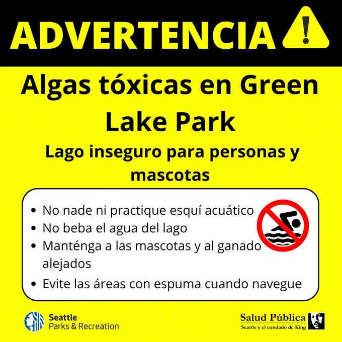 Warning about toxic algae in Green Lake Park making the lake unsafe for people and pets, advising no swimming or drinking lake water in Spanish.