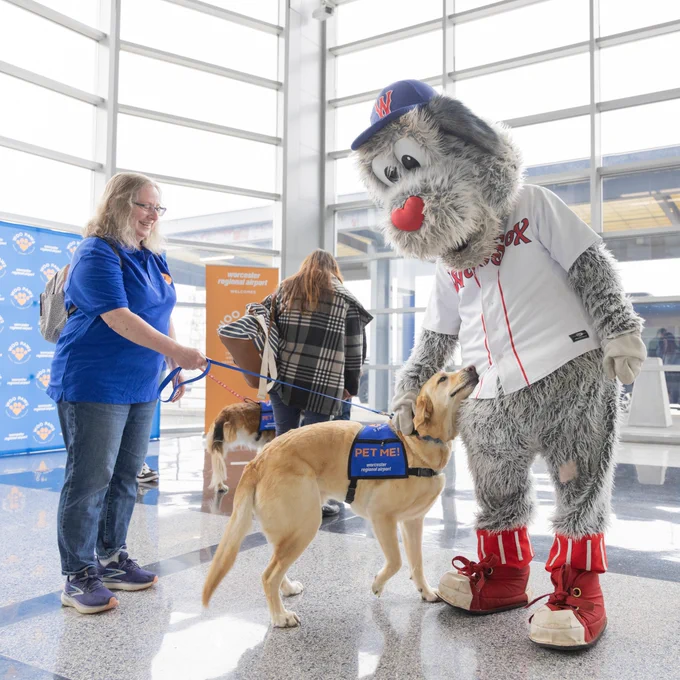 A person with a dog interacts with a large mascot wearing a baseball jersey in a bright, spacious indoor area.