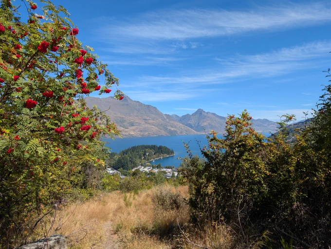 A photo from atop a small mountain overlooking a lake with more mountains on the other side. Red tree blossoms are in focus on the left and right of the scene.