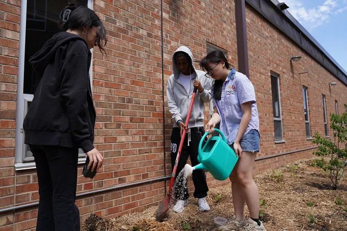 Kennedy courtyard planting