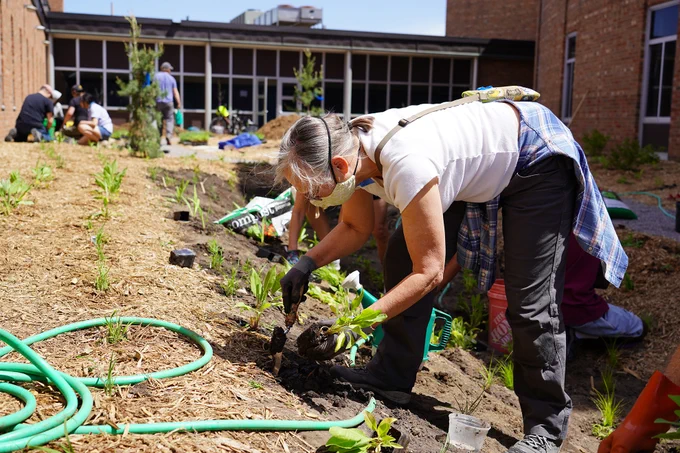 Kennedy courtyard planting