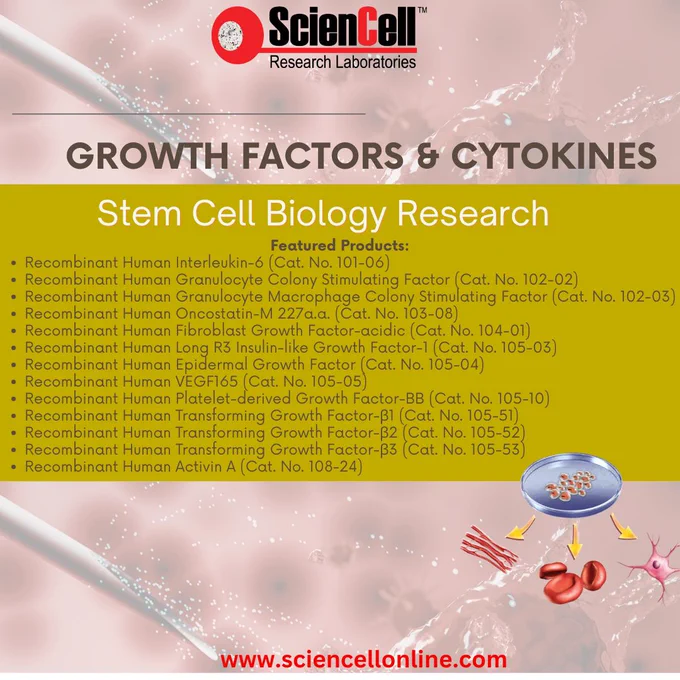 Fuel breakthrough discoveries in stem cell biology 🔬



ScienCell’s Growth Factors & Cytokines are designed to support proliferation, maintenance, and differentiation across a wide range of stem cell applications—helping researchers achieve consistent, reproducible outcomes with confidence.



Precision reagents for advanced cell biology research.



Explore now: https://sciencellonline.com/en/products-services/stem-cells/



#StemCellResearch #GrowthFactors #Cytokines #CellBiology #LifeSciences #BiotechResearch #RegenerativeMedicine #CellCulture #ScientificInnovation #DrugDiscovery #LabResearch #StemCellBiology