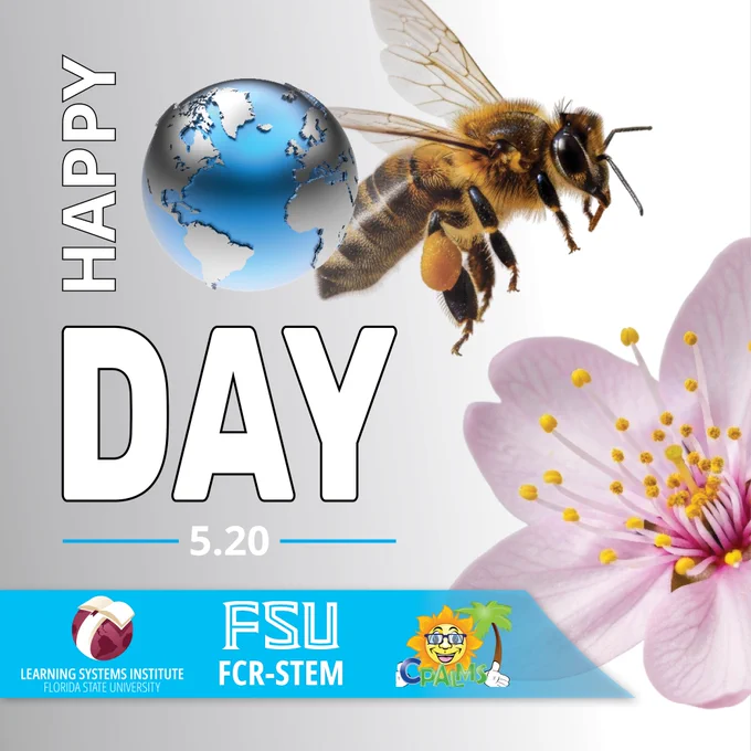 A  graphic for World Bee Day featuring a bee near a pink flower. Logos for Learning Systems Institute, FSU FCR-STEM, and CPALMS are shown at the bottom.