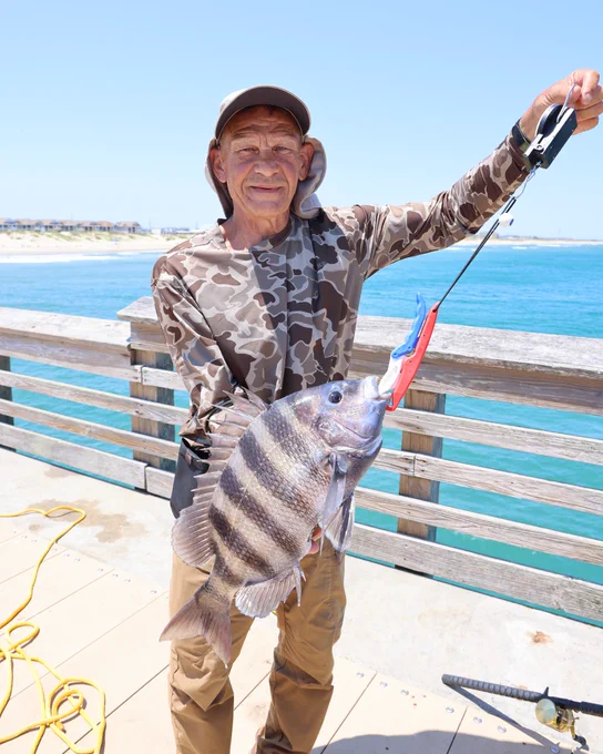 An angler stands on a Jennette's Pier holding a large sheepshead with distinct black stripes, using a fish gripper attached to a cord. The blue sea and a distant shoreline with buildings are visible in the background. The person is wearing a camouflage-patterned top and a wide-brimmed hat.