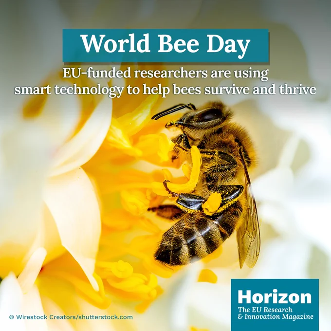 Photograph of a bee on a flower. Text overlay reads "World Bee Day" and "EU-funded researchers are using smart technology to help bees survive and thrive." A "Horizon The EU Research & Innovation Magazine" visual identity element is in the bottom right.