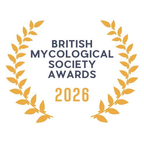 BMS Awards 2026 logo