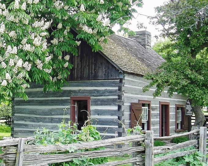 Rustic log cabin with a shingled roof surrounded by lush greenery and a wooden fence under blooming white chestnut trees.