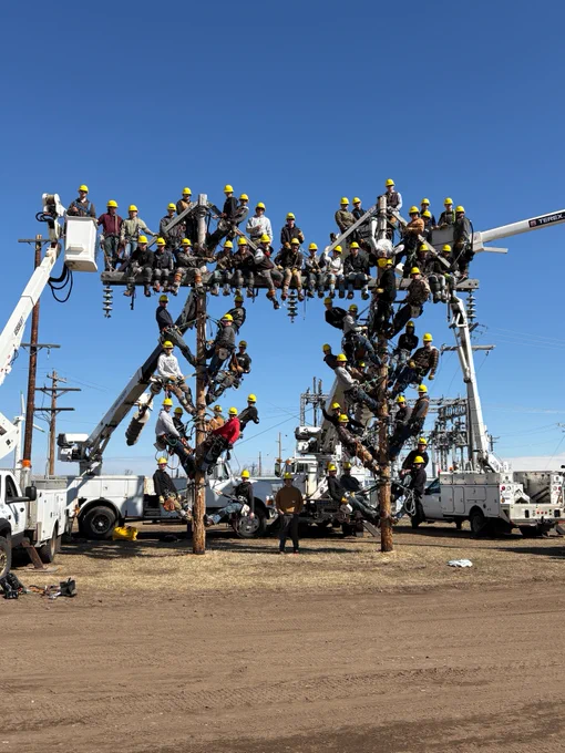 A large group of electrical line workers wearing helmets are climbing wooden utility poles arranged in a grid pattern. Several utility trucks are positioned nearby, and the scene takes place under a clear blue sky.