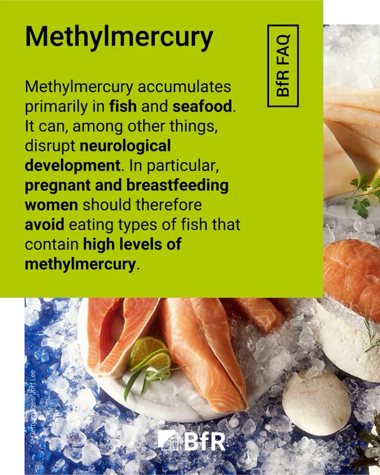 Methylmercury accumulates primarily in fish and seafood. It can, among other things, disrupt neurological development. In particular, pregnant and breastfeeding women should therefore avoid eating types of fish that contain high levels of methylmercury.