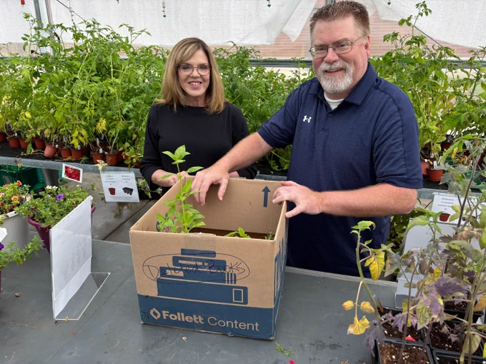 Two people packing green plants inside the VJA  greenhouse.