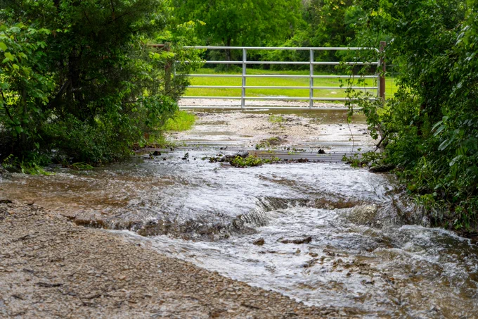 A small, shallow stream flows over a gravel path, leading to a closed metal gate with lush green trees and grass in the background.