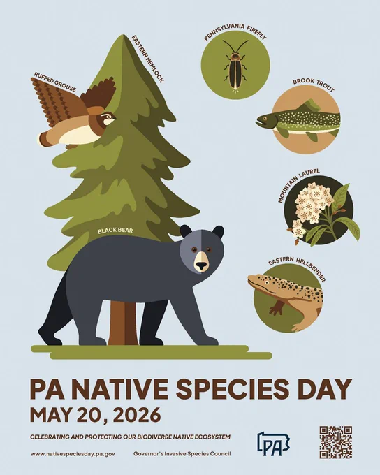 A poster for PA Native Species Day. There are graphics of different animals and plants on the poster such as a black bear, a bird, a hellbender, a firefly, a trout, and Mountain Laurel. 