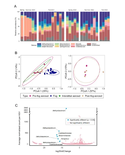 Compositional analyses of the fog microbiome and partition of the bulk aerobiome. 