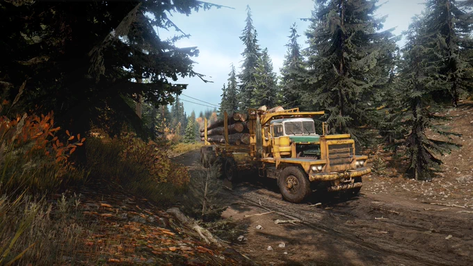 Yellow logging truck carrying large logs drives on a muddy forest road surrounded by tall pine trees.