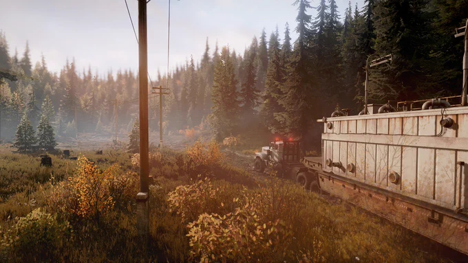 A freight train moving through a dense forest with tall pine trees and autumn-colored bushes under a cloudy sky.