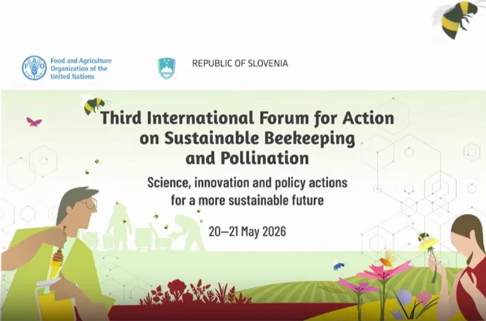 Under the theme “Science, innovation and policy actions for a more sustainable future”, the Third International Forum for Action on Sustainable Beekeeping and Pollination will provide a platform for stakeholders to discuss actions to strengthen the science–policy interface, scale up pollinator-friendly agricultural approaches, enhance international cooperation and address emerging challenges in honey quality and trade. The Forum is jointly organized by FAO and the Republic of Slovenia and will be held in Maribor, Slovenia, from 20 to 21 May 2026. 