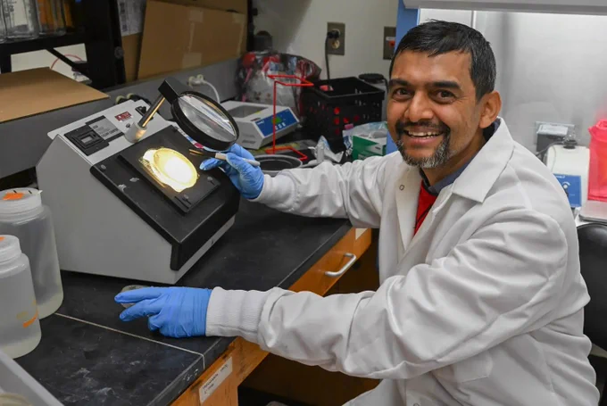 UMES researcher Dr. Janak Dhakal in the lab.
