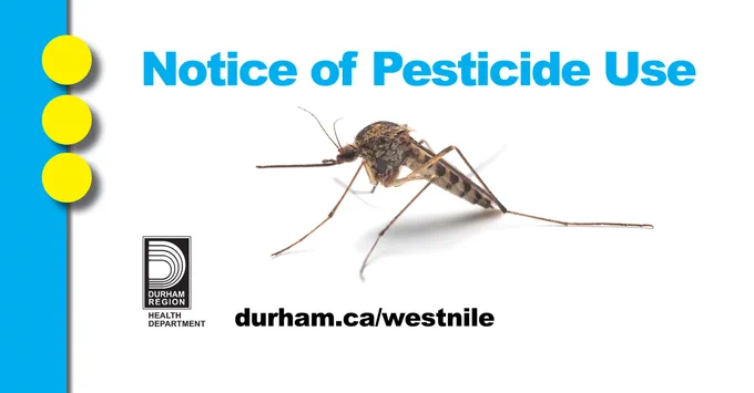 Image showing a "Notice of Pesticide Use" with a large mosquito in the center. On the left, three yellow dots are aligned vertically, and the Durham Region Health Department logo is visible. The text "durham.ca/westnile" appears at the bottom.