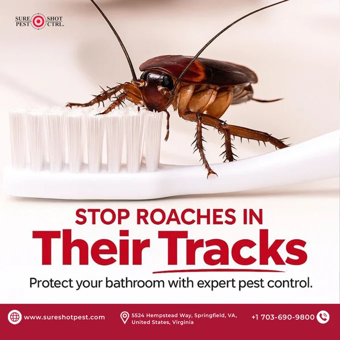 cockroach macro image, pest on toothbrush, bathroom contamination risk, pest control service Virginia,