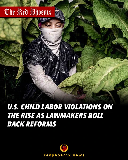 U.S. child labor violations on the rise as lawmakers roll back reforms.