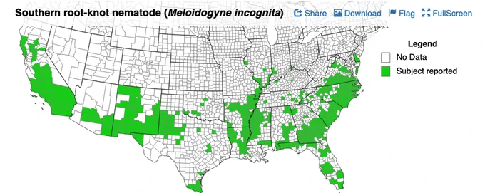 Map of the distribution of southern root-knot nematode in the U.S. 