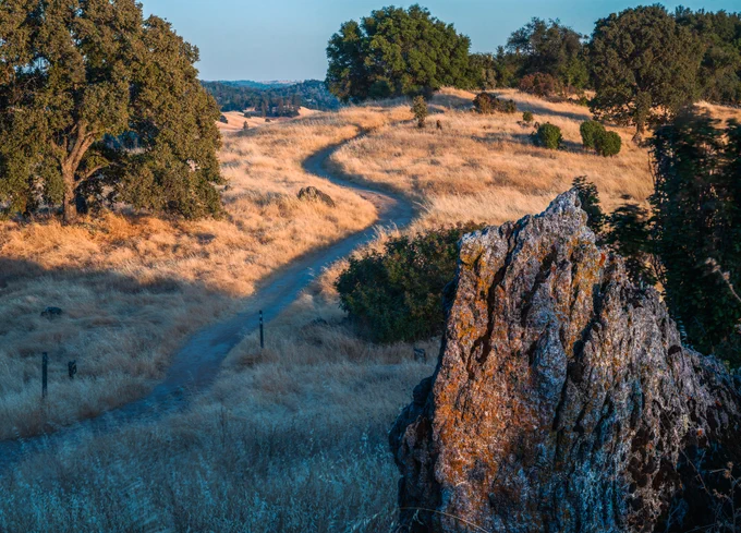 Winding dirt path meanders through golden dry grass and scattered oak trees under a clear blue sky at sunset.