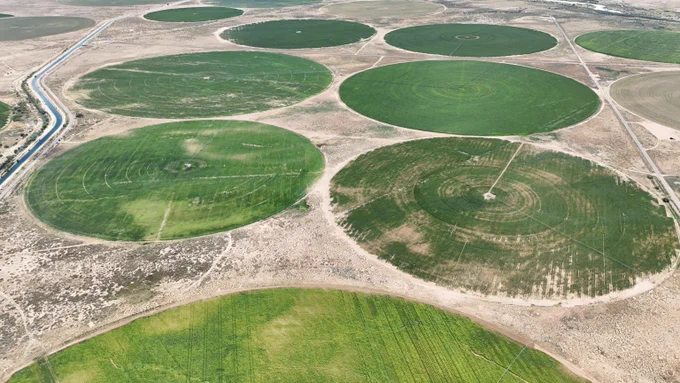 Aerial view of multiple green circular crop fields irrigated in a dry, arid landscape with visible irrigation equipment. Center pivot irrigation from a surface water canal, Navajo Reservation, New Mexico. Photo credit: Ivo Zution Goncalves, Daugherty Water for Food Global Institute. 