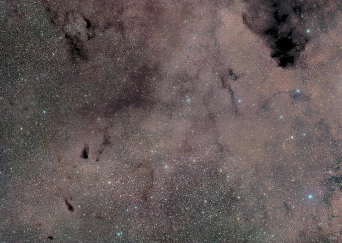 Sandqvist 148 lurks in the southern constellation Musca with other dark nebulae.