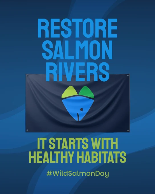 A campaign poster advocating for the restoration of salmon rivers, emphasizing healthy habitats with a graphic logo and hashtag #WildSalmonDay.