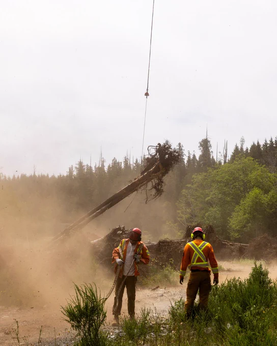 Two forestry workers handle logging equipment in a dusty, wooded area. The scene conveys a sense of teamwork in an industrial setting.