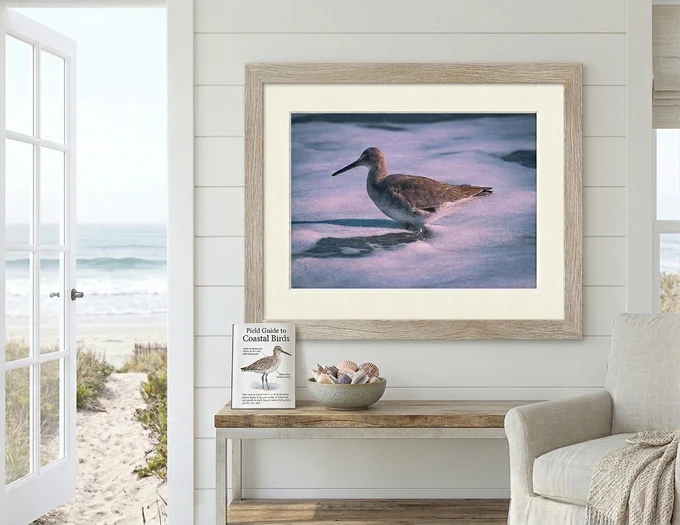 Alt Text: A high-end coastal interior mockup featuring a framed photograph of a Willet standing in gentle, purple-tinted ocean waves. The light wood frame hangs on a white shiplap wall over a console table styled with a bowl of seashells and an open book titled "Field Guide to Coastal Birds." To the left, an open door reveals a sandy beach path leading to the blue waves of the Atlantic Ocean.
