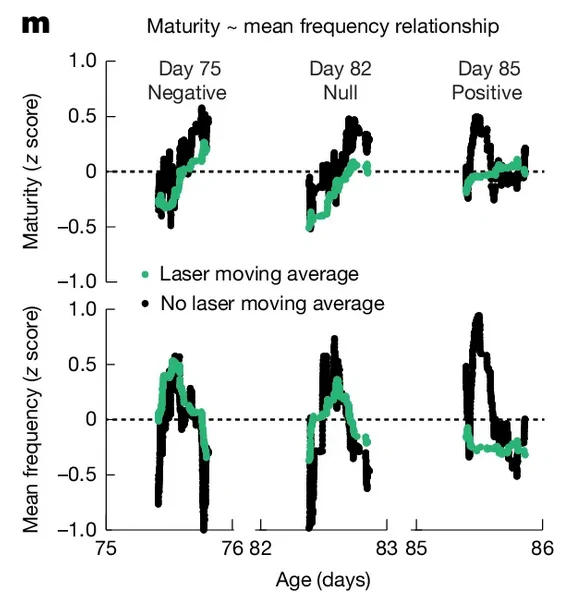 Shutting off the sBG always prevents the expression of learning (syllable maturity, top row). But affects frequency only if it is related to maturity. And if it *is* related, sBG suppression pushes frequency against the learning trajectory. Thus, when frequency is positively correlated with learning (right column), sBG suppression reduces frequency, but when it is negatively correlated (left column), suppression increases frequency. 