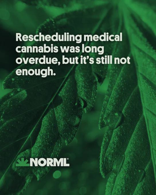 Headline reads, "Rescheduling medical cannabis was long overdue, but it's still not enough." Background shows a close-up of a cannabis leaf dotted with water droplets.
