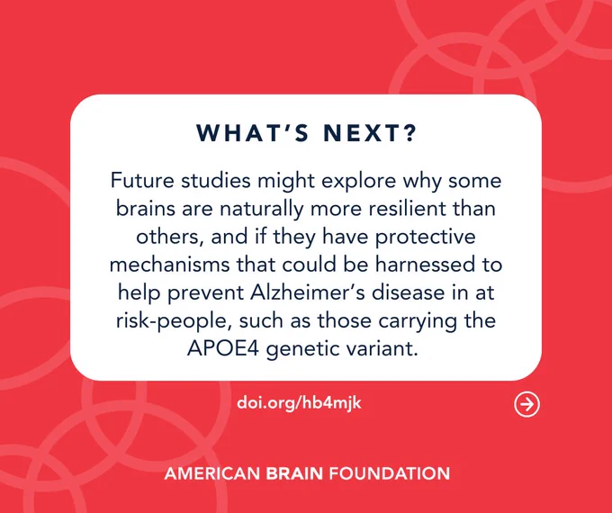 What’s Next? Future studies might explore why some brains are naturally more resilient than others, and if they have protective mechanisms that could be harnessed to help prevent Alzheimer’s disease in at risk-people, such as those carrying the APOE4 genetic variant.  