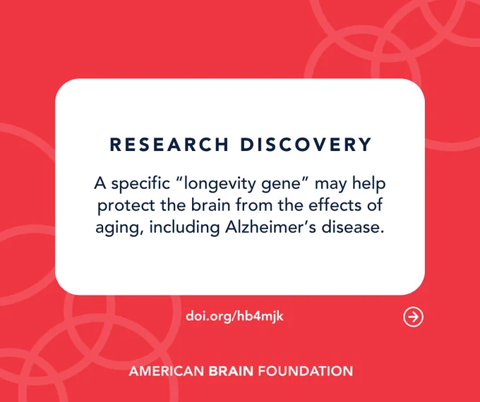 Research Discovery: A specific “longevity gene” may help protect the brain from the effects of aging, including Alzheimer’s disease.