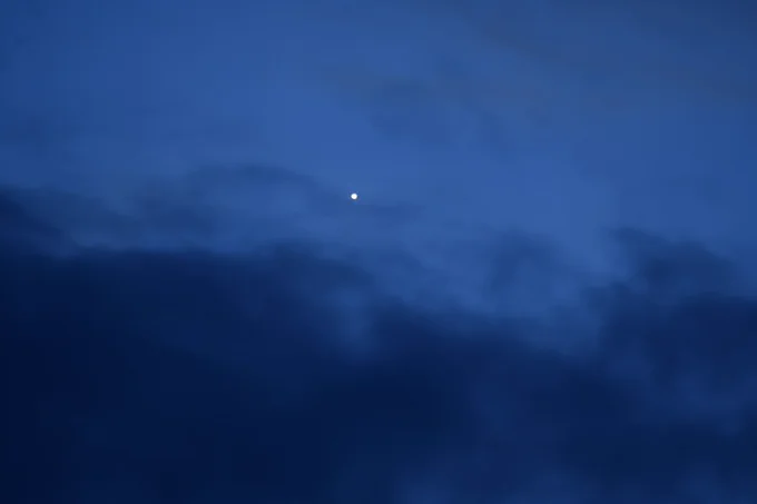 Venus