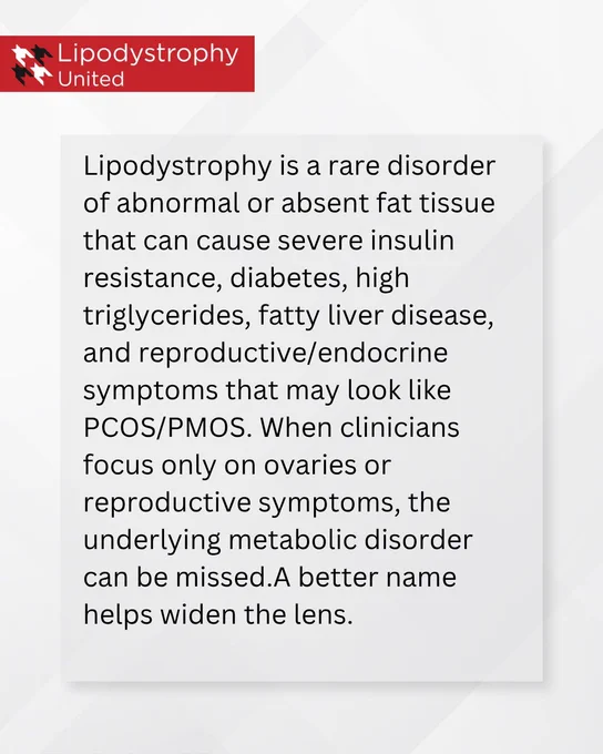  Lipodystrophy United branded graphic with text explaining that lipodystrophy is a rare disorder of abnormal or absent fat tissue that can cause severe insulin resistance, diabetes, high triglycerides, fatty liver disease, and reproductive or endocrine symptoms that may look like PCOS or PMOS. The text states that when clinicians focus only on ovaries or reproductive symptoms, the underlying metabolic disorder can be missed, and that a better name helps widen the lens.
