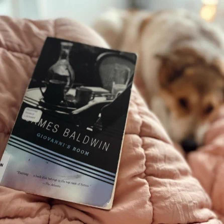 A copy of "Giovanni's Room" by James Baldwin rests on a soft, pink blanket. A dog lies beside the blanket in the background.
